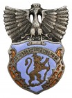 Odznaka pamiątkowa dla żołnierzy ukraińskich 'Za naszą i waszą wolność' Rzadka i ciekawa - odznaka, tzw. 'Orzełek Petlury', odnosząca się do burzliwyc...