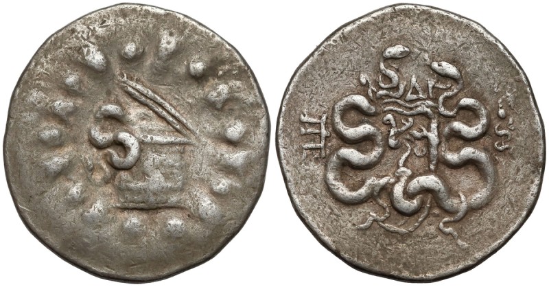 Grecja, Myzja, Pergamon, Tetradrachma Cystoforyczna (113-67 p.n.e.) Awers: Wąż w...