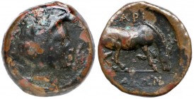Grecja, Tesalia, Larisa (IV w. p.n.e.) AE17 Awers: Głowa nimfy w prawo. Rewers: Koń pasący się, w prawo. Brąz, średnica 17,5-16,9 mm, waga 5,25 g. Ref...