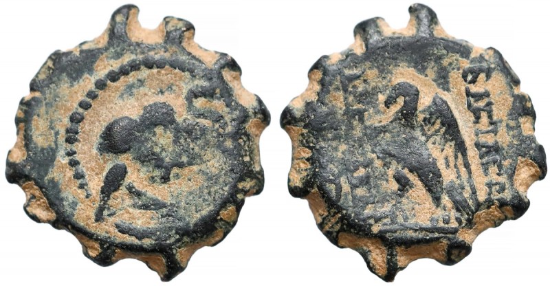 Grecja, Seleukidzi, Aleksander II Zabinas (128-123 p.n.e.) AE Serratus Awers: Gł...