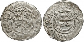Barby, Grafschaft, Wolfgang Friedrich, 1/24 Taler 1616 
Grade: XF 

WORLD COINS - GERMANY