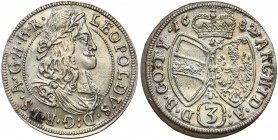 Österreich, Leopold I., 3 Kreuzer 1682, Hall
Austria, Leopold I, 3 krajcary 1682, Hall 
Grade: XF+/AU 

WORLD COINS - AUSTRIA