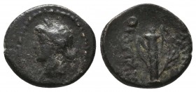 Greek Coins, Ae C. 1st -2nd BC

Condition: Very Fine


Weight: 2,5 gram
Diameter: 15,4 mm