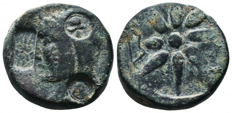 PONTOS. Uncertain. Ae (Circa 130-100 BC).
Obv: Male head left, wearing bashlyk; ...