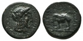 SELEUKID KINGDOM. 2nd - 1st Century . Ae.

Condition: Very Fine


Weight: 2,6 gram
Diameter: 13,6 mm