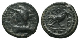 PISIDIA, Antiochia. Pseudo-autonomous issue. 1st century AD. Æ

Condition: Very Fine


Weight: 1,3 gram
Diameter: 12,7 mm