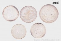 Konv. Silbergedenkmünzen alle Welt (u. a. Bahamas, Cook Islands und Jemen), insgesamt über 600 g Silber, interessantes Silberanlagekonv., bitte besich...