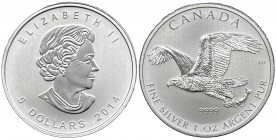 Canada - Elisabetta II (dal 1952) 5 Dollari (1 Oncia) 2014 serie Aquila - KM 225 - Ag - Proof - gr.31,1

FS

 Worldwide shipping