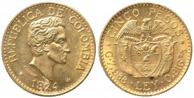 Colombia - Repubblica di Colombia (dal 1819) 5 Pesos 1924 - KM 204 - Au - ******************************* Note: SPEDIZIONI ALL' ESTERO. La spedizione ...