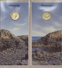 Gran Bretagna - Moneta Commemorativa - Elisabetta II (dal 1952) 1 Pound 1986 con la tipologia dedicata all' Irlanda del Nord - KM 946 - Ni-Ba - in con...