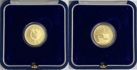 Moneta Commemorativa - Serie Euro - Monetazione in Euro (dal 2001) 20 Euro 2007 della serie "Europa delle arti" comemmorativa dell' Irlanda e all'arte...
