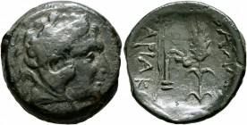 KINGS OF SKYTHIA. Sariakos, circa 180-168/7 BC. AE (Bronze, 25 mm, 9.35 g, 12 h). Head of Herakles to right, wearing lion skin headdress. Rev. ΒΑΣΙΛΕΩ...
