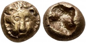 IONIA. Miletos. Circa 600-550 BC. Myshemihekte – 1/24 Stater (Electrum, 6 mm, 0.58 g). Head of a lion facing. Rev. Rough incuse square. Hilbert Phase ...