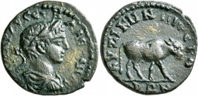 MYSIA. Cyzicus. Severus Alexander, 222-235. Assarion (Bronze, 21 mm, 4.83 g, 6 h). Α Κ Μ ΑΥΡ ϹЄΟΥΗ ΑΛЄΞΑΝΔΡΟϹ Laureate, draped and cuirassed bust of S...