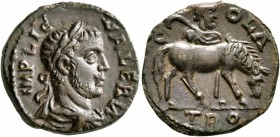 TROAS. Alexandria Troas. Valerian I, 253-260. 'As' (Bronze, 19 mm, 4.61 g, 1 h). IMP LIC VALERIA Laureate, draped and cuirassed bust of Valerian I to ...