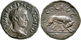 TROAS. Alexandria Troas. Gallienus, 253-268. 'As' (Bronze, 21 mm, 5.88 g, 7 h). IMP LICIN GALLIEN Laureate, draped and cuirassed bust of Gallienus to ...