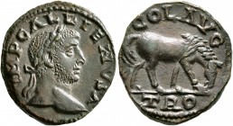 TROAS. Alexandria Troas. Gallienus, 253-268. 'As' (Bronze, 21 mm, 5.94 g, 12 h). IMP GALLIENVS A Laureate head of Gallienus to right. Rev. COL AVG / T...