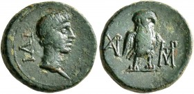 TROAS. Ilium. Augustus, 27 BC-AD 14. AE (Bronze, 14 mm, 2.41 g, 1 h). ΙΛΙ Bare head of Augustus to right. Rev. Owl standing facing between two monogra...