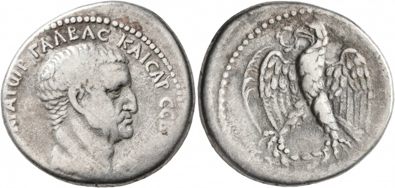 SYRIA, Seleucis and Pieria. Antioch. Galba, 68-69. Tetradrachm (Silver, 27 mm, 1...