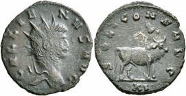 Gallienus, 253-268. Antoninianus (Bronze, 20 mm, 3.00 g, 5 h), Rome, 267-268. GALLIENVS AVG Radiate head of Gallienus to right. Rev. SOLI CONS AVG / X...