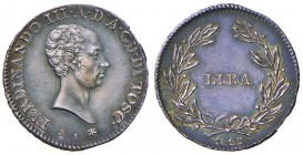 FIRENZE Ferdinando III (1814-1824) Lira 1823 – MIR 438/3 AG (g 3,95) Minimi graffietti di conio al D/, bella patina
SPL+