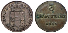 FIRENZE Leopoldo II di Lorena (1824-1859) 3 Quattrini 1834 – MIR 464/8 MI (g 2,20)
BB+