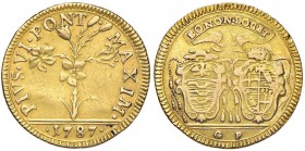 Pio VI (1775-1799) Doppia 1787 con data tra due punti – Nomisma 13 AU (g 5,38)
qBB