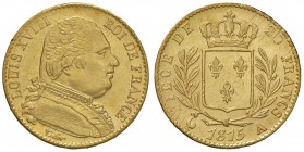 FRANCIA Luigi XVIII (1815-1824) 20 Franchi 1815 A – Gad. 1026 AU (g 6,46) Minimi graffietti
SPL