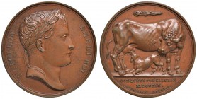 MEDAGLIE NAPOLEONICHE Medaglia 1809 CONQUÊTE DEL’ILLYRIE – Opus: Andrieu, Depaulis, Denon – AE (g 42,68 – Ø 40 mm)
FDC