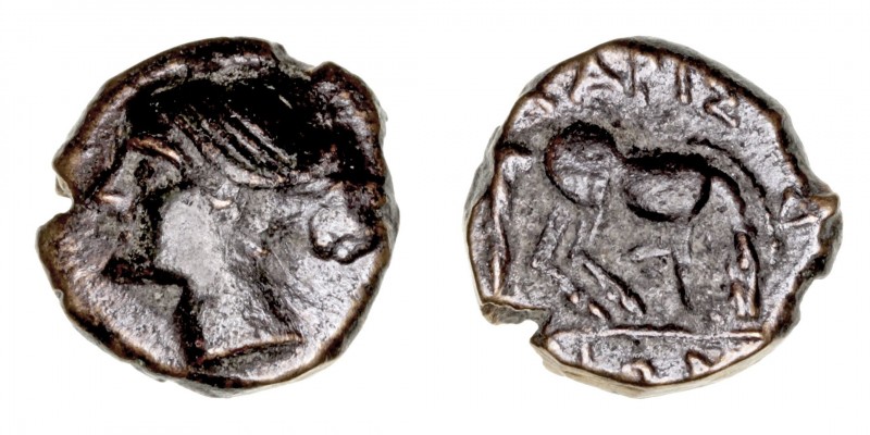 Monedas Antiguas
Tesalia
Hemichalkon. AE. Larissa. (320-280 a.C.). A/Cabeza de...