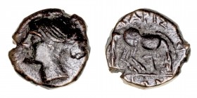 Monedas Antiguas
Tesalia
Hemichalkon. AE. Larissa. (320-280 a.C.). A/Cabeza de la ninfa Larissa a izq. R/Caballo a der., arriba y abajo ley. 2.26g. ...