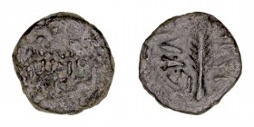 Monedas Antiguas
Judea
Porcius Festus
Prutah. AE. (59-62). Acuñaciones de los Procuradores Romanos. 2.65g. Hendin 653. BC/MBC-.