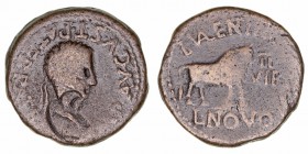 Monedas de la Hispania Antigua
Calagurris, Calahorra (La Rioja)
As. AE. Resello cabeza de águila (campamento legionario) sobre cuello de Tiberio. 13...
