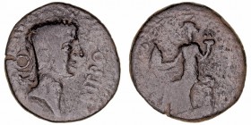 Monedas de la Hispania Antigua
Irippo, Zona de Sevilla
As. AE. A/Cabeza de Augusto a der., delante IRIPPO, detrás resello ON en cartela. 7.55g. AB.1...