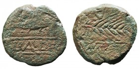 Monedas de la Hispania Antigua
Murtilis, Mertola (Portugal)
As. AE. A/Atún a der., debajo entre líneas ley. R/A invertida, espiga y ley. 13.92g. AB....