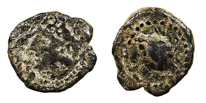 Monedas de la Hispania Antigua
Olontigi, Aznalcázar (Sevilla)
Semis. AE. A/Cab...