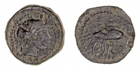 Monedas de la Hispania Antigua
Sexi, Almuñécar (Granada)
Semis. AE. (Entre 200-20 a.C.). A/Cabeza con caso a der. R/Atún a der., encima alef y debaj...