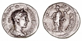 Imperio Romano
Heliogábalo
Denario. AR. Roma. (218-222). R/(PROVID) DEORVM. 3.14g. RIC.128. MBC-.