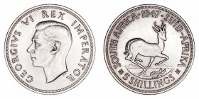 Monedas Extranjeras
Sudáfrica Jorge VI
5 Shillings. AR. 1947. 28.30g. KM.31. MBC+.