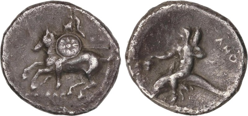 GREEK COINS
Didracma. 302-281 a.C. TARAS. CALABRIA. Anv.: Jinete a izquierda co...