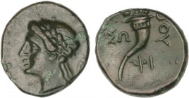 GREEK COINS
AE 13. 280-250 a.C. THOURIOI. LUCANIA. Anv.: Cabeza laureada de Apolo a izquierda, detrás monograma. Rev.: Cornucopia. 2,00 grs. AE. Páti...