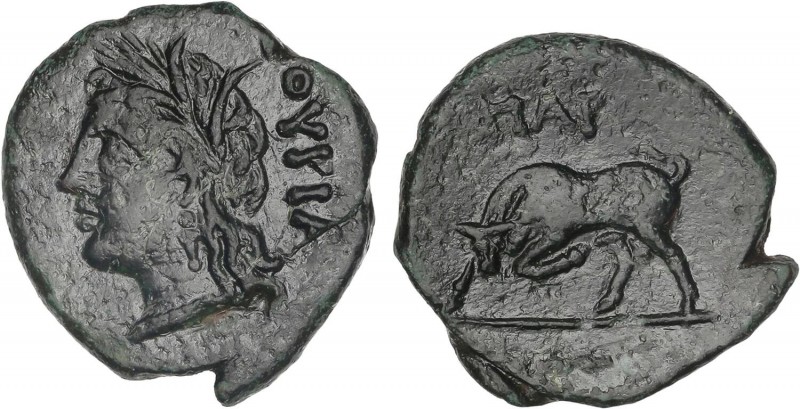 GREEK COINS
AE 17. 280-213 a.C. THOURIOI. LUCANIA. Anv.: THOURIOI. Cabeza de De...