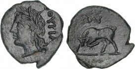 GREEK COINS
AE 17. 280-213 a.C. THOURIOI. LUCANIA. Anv.: THOURIOI. Cabeza de Demetra a izquierda. Rev.: Toro embistiendo a izquierda, encima. 2,88 gr...