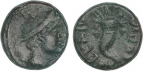 GREEK COINS
Sextans. 193-150 a.C. THOURIOI (como copiae). LUCANIA. Anv.: Cabeza de Mercurio a derecha. Rev.: Cornucopia, dos puntos y cadúceo. 1,75 g...