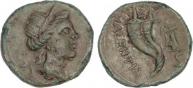 GREEK COINS
Semis. 193-150 a.C. BRUTTIUM. Vibo Valentia (Hipponion). Anv.: Cabeza laureada de Juno a derecha; S (marca de valor) a izquierda. Rev.: C...