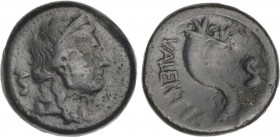 GREEK COINS
Semis. 193-150 a.C. BRUTTIUM. Vibo Valentia (Hipponion). Anv.: Cabeza laureada de Juno a derecha; S (marca de valor) a izquierda. Rev.: C...