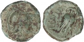 GREEK COINS
Triens. 193-150 a.C. BRUTTIUM. Vibo Valentia (Hipponion). Anv.: Cabeza de Atenea con casco a derecha. Rev.: VALENTIA. Buho estante a dere...