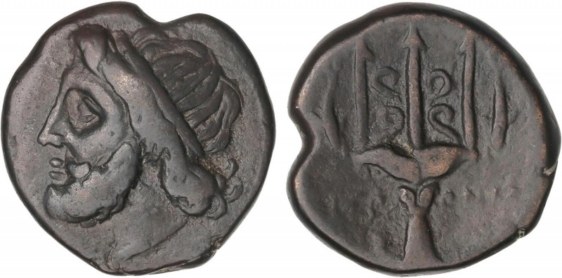 GREEK COINS
AE 22. 275-215 a.C. HIERON II. SIRACUSA. SICILIA. Anv.: Cabeza de P...
