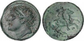 GREEK COINS
AE 27. 274-216 a.C. SIRACUSA. SICILIA. Anv.: Cabeza masculina diademada a izquierda, letra griega debajo del cuello. Rev.: Jinete con cas...