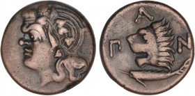 GREEK COINS
AE 20. Siglo IV a.C. PANTIKAPAION. Anv.: Cabeza de Pan a izquierda. Rev.: Cabeza de león a izquierda, debajo esturión, alrededor tres let...